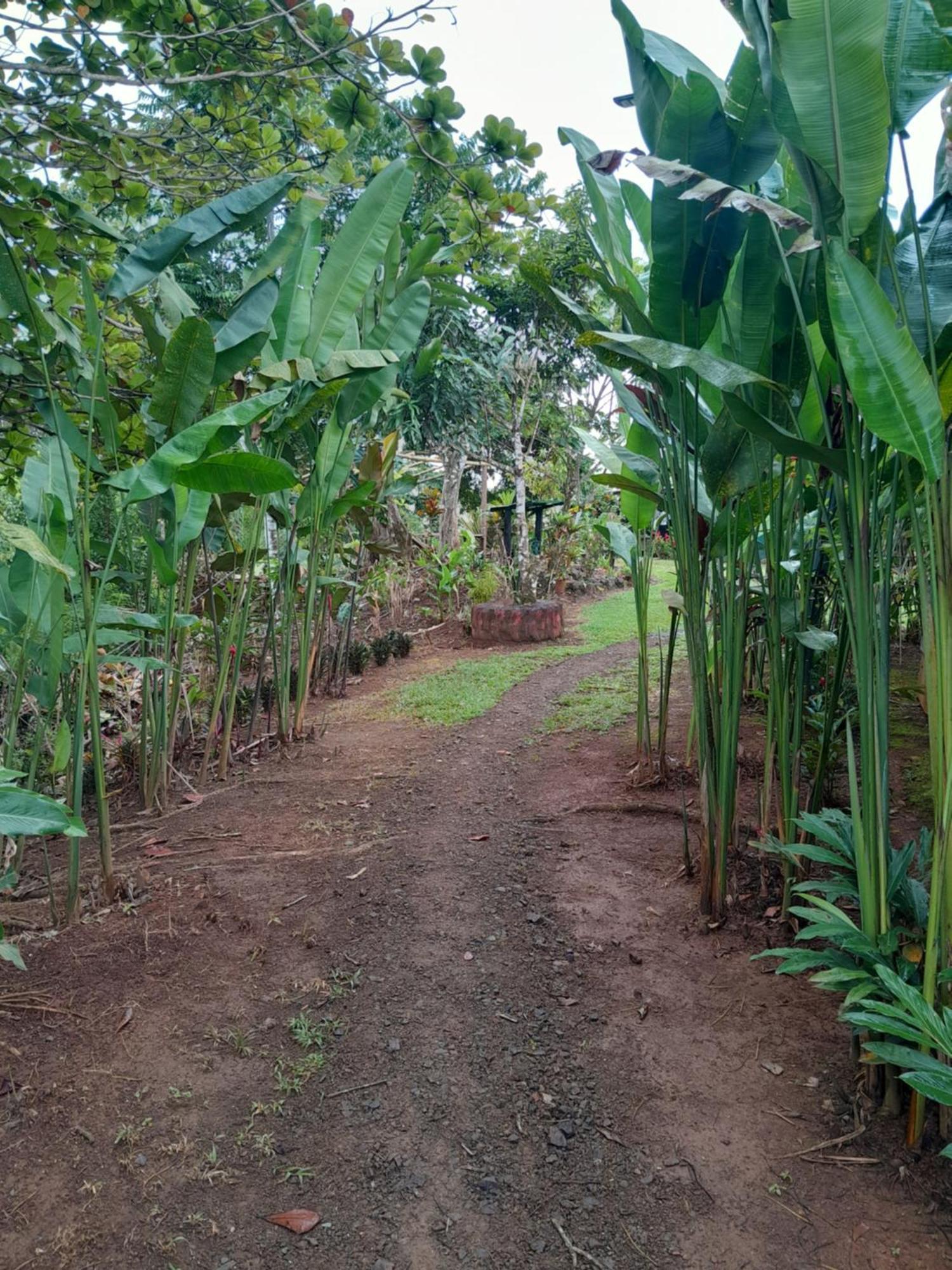 Finca La Puesta Del Sol - Miramar De Sierpe Zimmer foto