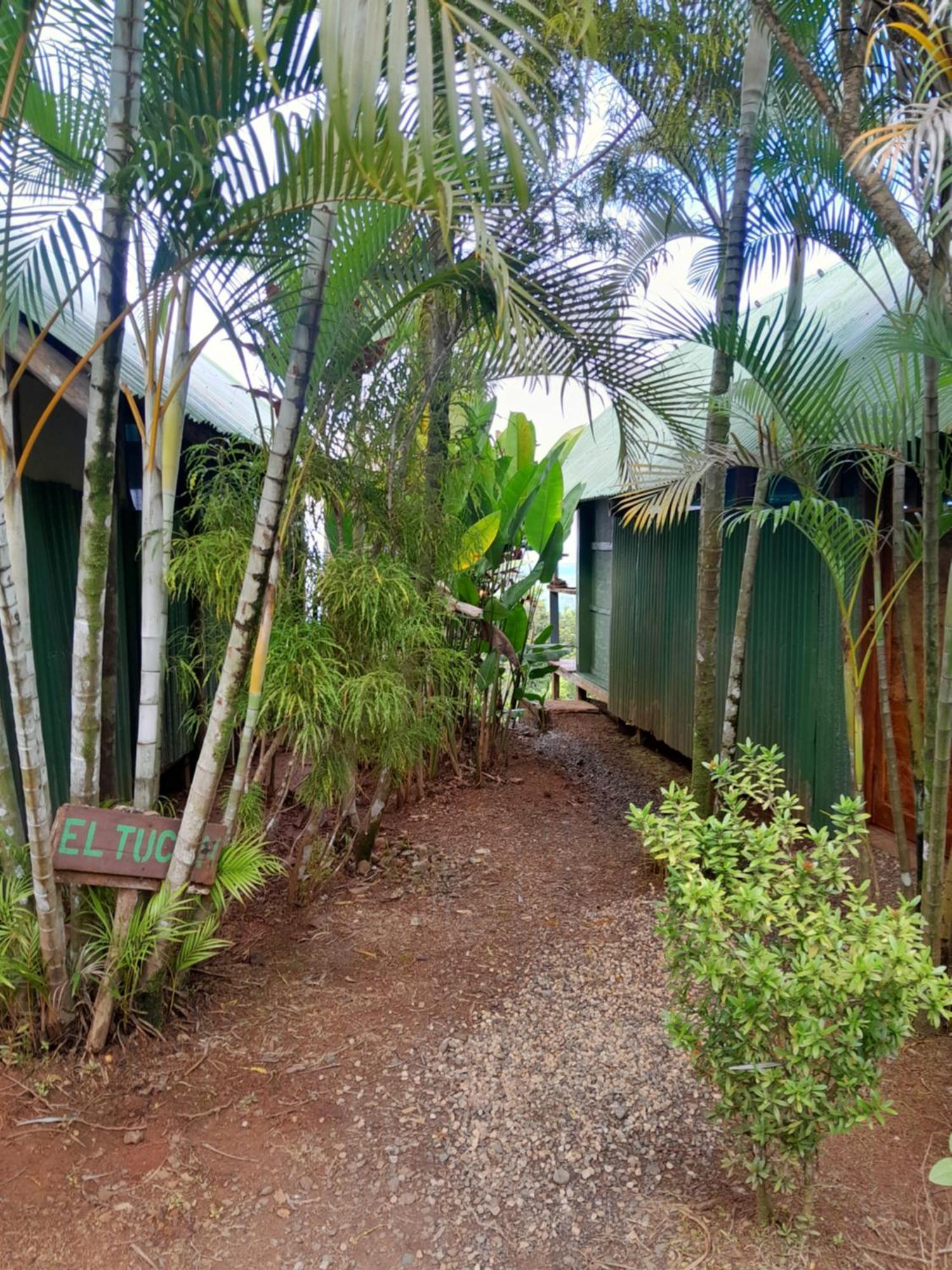 Finca La Puesta Del Sol - Miramar De Sierpe Zimmer foto