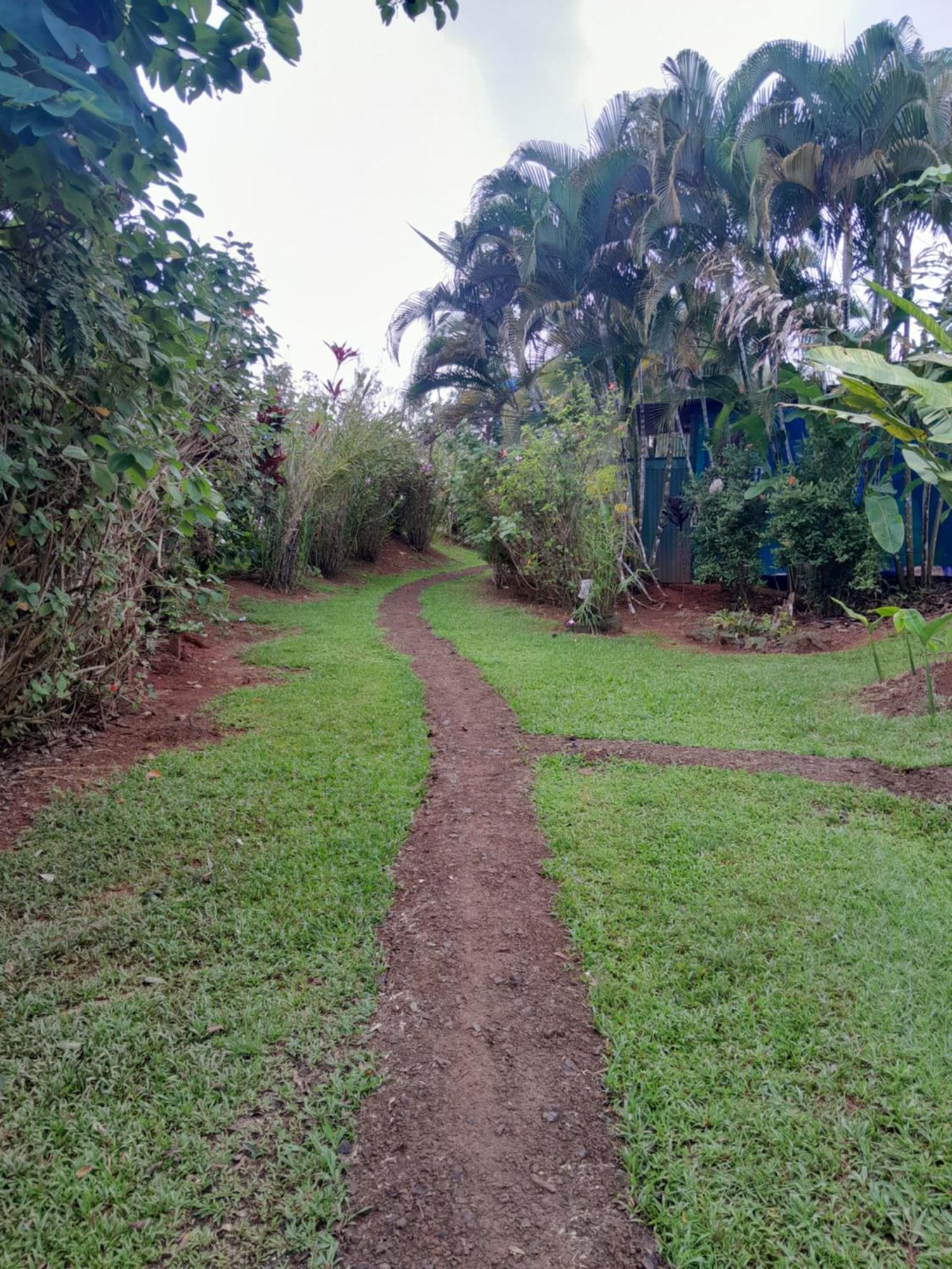Finca La Puesta Del Sol - Miramar De Sierpe Zimmer foto